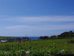 a field of grass with flowers in the foreground at Holiday Home Farmlans by Interhome in Saint Merryn