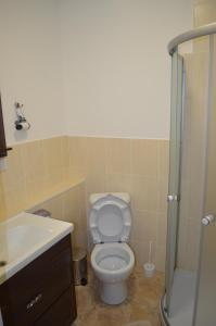 a bathroom with a toilet and a sink and a shower at Motel Chalet in Vita-Pochtovaya