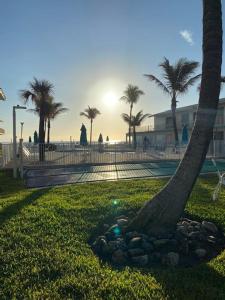 un árbol en un parque junto a una playa con palmeras en Sunrise Ocean Suites, en Pompano Beach