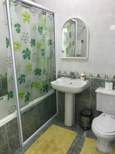 e bagno con doccia, servizi igienici e lavandino. di Somerset In a Durban