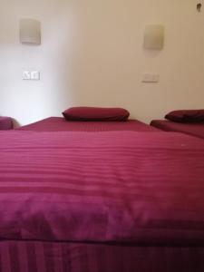 Letto o letti in una camera di Tiki bar hostel ella