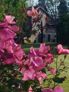 un arbusto de flores rosas delante de una casa en Agriturismo Beria de Carvalho de Puppi en San Giovanni al Natisone