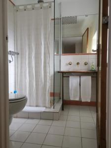 a bathroom with a shower and a toilet and a sink at Casa Rural la Insula in Santa María de la Alameda