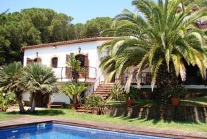 a house with a palm tree and a swimming pool at Club Villamar - Cantonada in Sant Antoni de Calonge