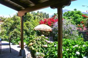 エル・パソにあるEl Morroの花の咲く庭園、傘と椅子