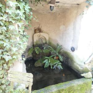 Zahrada ubytování Gite ancienne Imprimerie