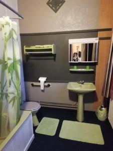 een badkamer met een wastafel, een toilet en een spiegel bij Le Liège in La-Roche-en-Ardenne