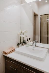 uma casa de banho branca com um lavatório e um espelho em Kényelmes apartman a belváros szélén em Gyor