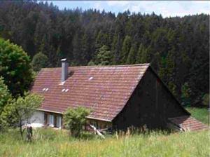 Gallery image of Ferienhaus Schwarzwald Seewald Erzgrube Badesee 100% Natur in Seewald