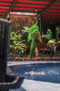 ボカス・タウンにあるNowhereの水面を飛ぶ鳥がいるプール +30枚の写真