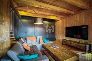 シャンボン・シュル・ラックにあるGrande Cabane du Lacのソファとテレビのあるリビングルーム