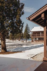 a building with a tree next to a snow covered field at Vintage Lakeside Inn in Big Bear Lake