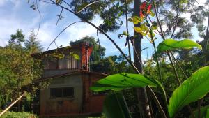 Canto do Jacarandá (Casa no Vale do Matutu) في أيوريوكا: منزل صغير وسط غابة