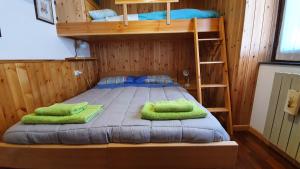 a bedroom with a bunk bed and a ladder at Appartamento a 200 Metri dalle Piste da Sci in Santa Caterina Valfurva