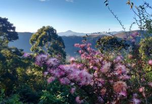 Canto do Jacarandá (Casa no Vale do Matutu) في أيوريوكا: حقل من الزهور مع الجبال في الخلفية