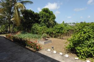 a garden with flowers and white pigeons on the ground at Villa Yona in Sainte-Anne