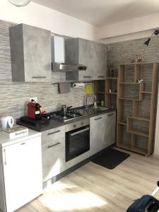 cocina con electrodomésticos de acero inoxidable y suelo de madera en B&B Petra Castalda en Sasso di Castalda