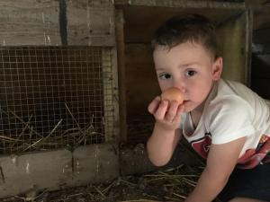 Děti v ubytování Familienbauernhof Strassbauer