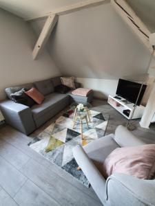 un soggiorno con divano e tavolo di CHIC & COSY a Haguenau