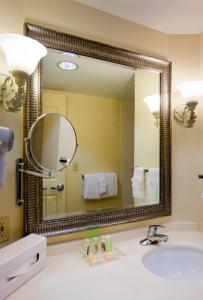 a bathroom with a sink and a large mirror at Holiday Inn Chantilly-Dulles Expo Airport by IHG in Chantilly