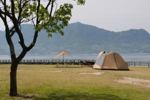 ein Zelt auf dem Gras neben einem Wasserkörper in der Unterkunft Kyukamura Ohkunoshima in Takehara