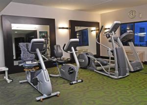 Fitness centrum a/nebo fitness zařízení v ubytování Holiday Inn Irving Las Colinas by IHG