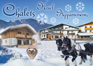 Sieglhub Chalets - Appartements - Hotel talvel