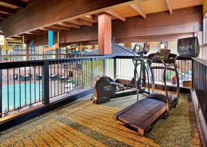 Fitnesscenter och/eller fitnessfaciliteter på Holiday Inn At Six Flags Saint Louis, an IHG Hotel