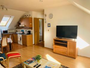Kuchyňa alebo kuchynka v ubytovaní apartment