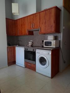 Kuchyň nebo kuchyňský kout v ubytování Apartment Gran Sol El Tarter