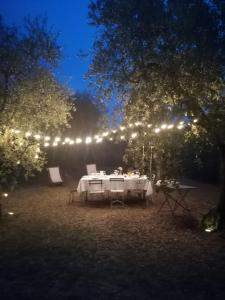 uma mesa de jantar num quintal com luzes à noite em Le Molina B&B em Massa e Cozzile