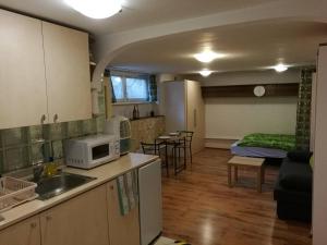 eine Küche mit Spüle und Mikrowelle im Zimmer in der Unterkunft City Center Studio Apartman in Pécs