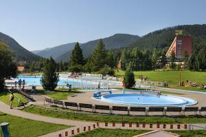 The swimming pool at or close to Chata Havran