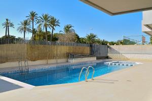 una piscina con una valla y palmeras en Stay In Brisas del Sur, en Alicante