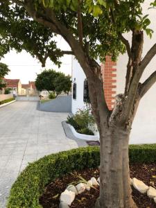 Billede fra billedgalleriet på My house in Mira - Cantanhede Mira Beach Cantanhede i Senhora das Febres