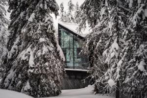 a house covered in snow in front of trees at Magical Pond Nature Igloos in Ruka