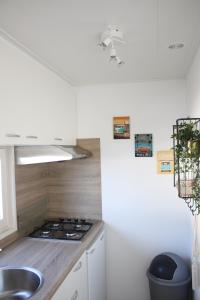 een keuken met een wastafel en een fornuis top oven bij Chalet Charlee in IJmuiden