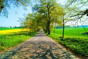 Naturlandschaft in der Nähe des Ferienparks