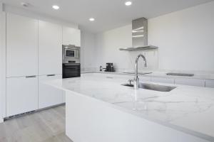 A kitchen or kitchenette at Villa Alimar - Basque Stay