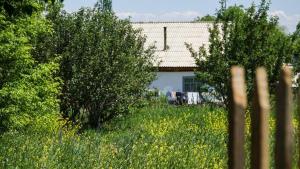 a house in the middle of a field of grass at Mountain Horse Trekking Guesthouse in Karakol