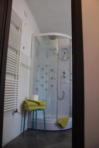 a bathroom with a shower with a stool in it at Bed&Braja in Vische