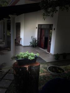 Zahrada ubytování Kandyan Lounge