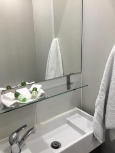 a bathroom with a sink and a mirror at Dene House in Great Yarmouth