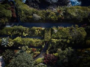 an overhead view of a garden with trees and bushes at Reid's Palace, A Belmond Hotel, Madeira in Funchal