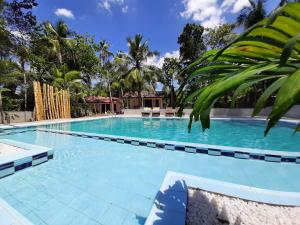 uma grande piscina com água azul e palmeiras em Jackland Holiday Cabanas em Demanhandiya
