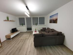 - un salon avec un canapé et une télévision dans l'établissement Lagune, à Görlitz