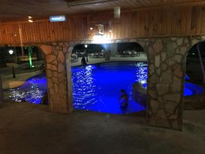 湖泊野生酒店内部或周边的泳池