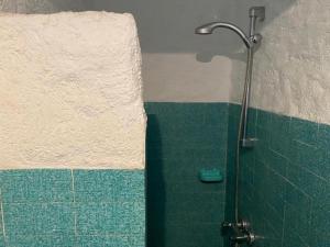 um chuveiro numa casa de banho com uma parede verde e branca em Villa Sorbo em L'Île-Rousse