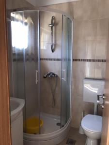 uma casa de banho com um chuveiro e um WC. em studio apartment near the beach-Ilda Radonic em Jelsa