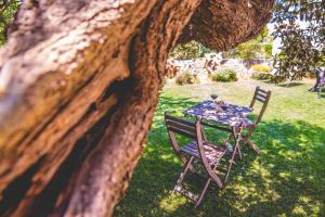 Zahrada ubytování Trulli-eu Guesthouse Alberobello